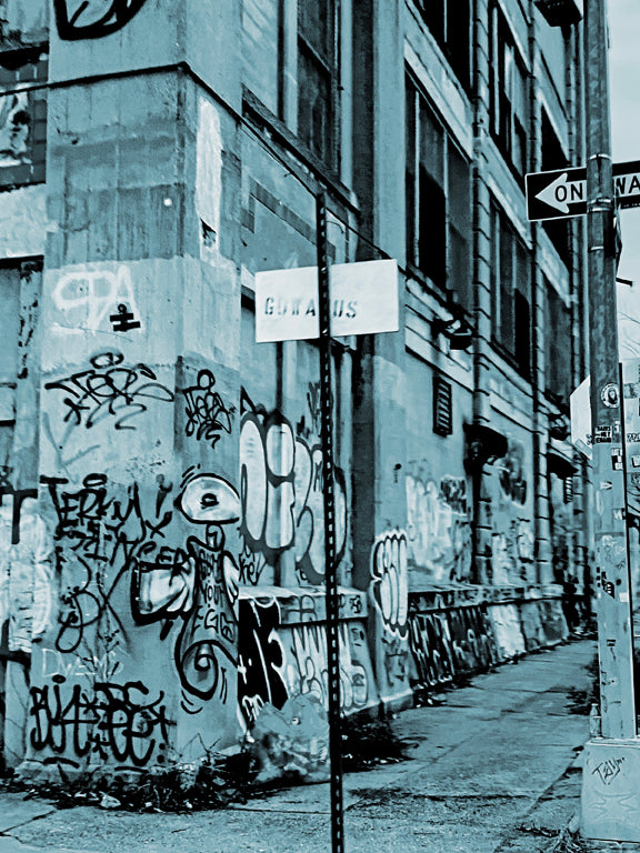 Curb Your Ego- Gowanus  Cyan Tone