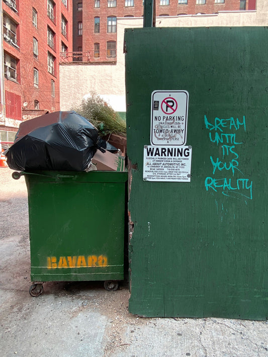 Dream Until It's Reality!