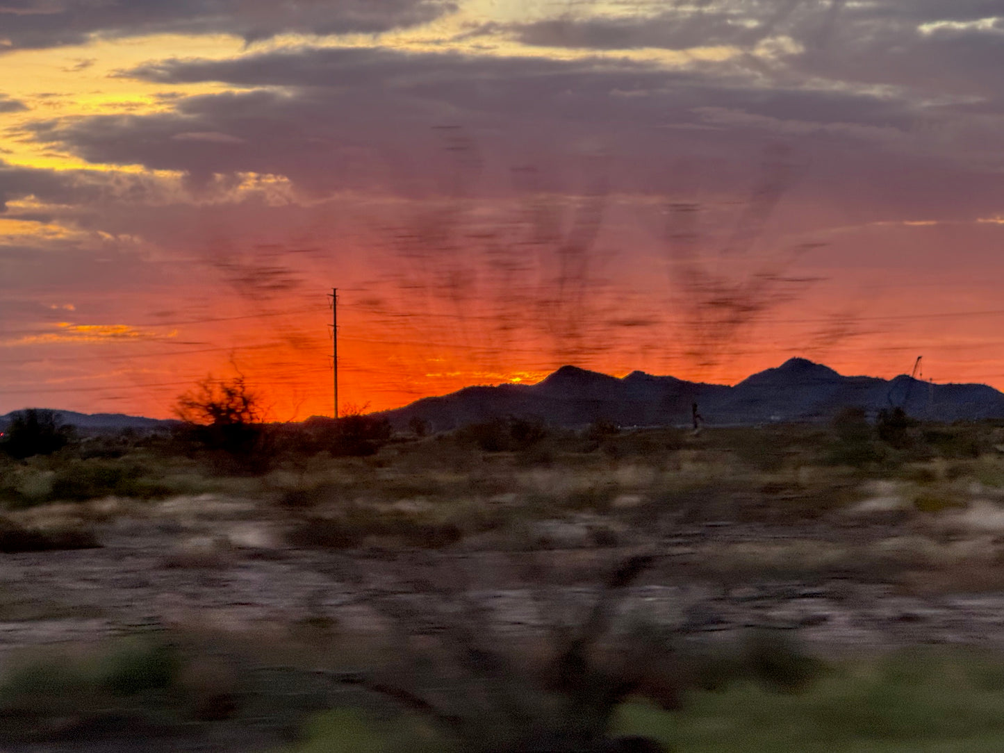 Arizona Flowers Set of 2