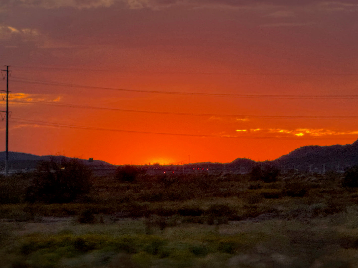 Arizona Flowers Set of 2
