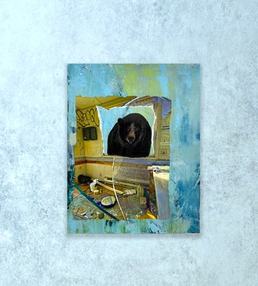 Black Bear-Endangered Collection