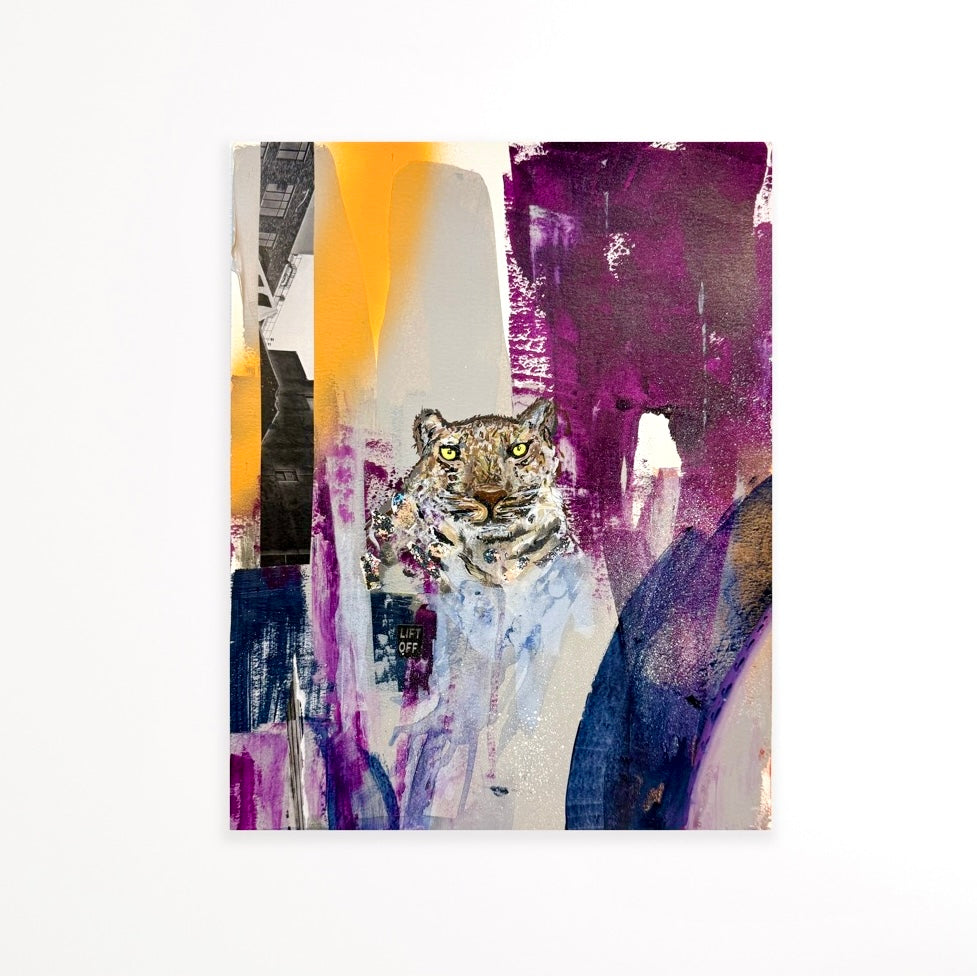 Amur Leopard-Endangered Collection