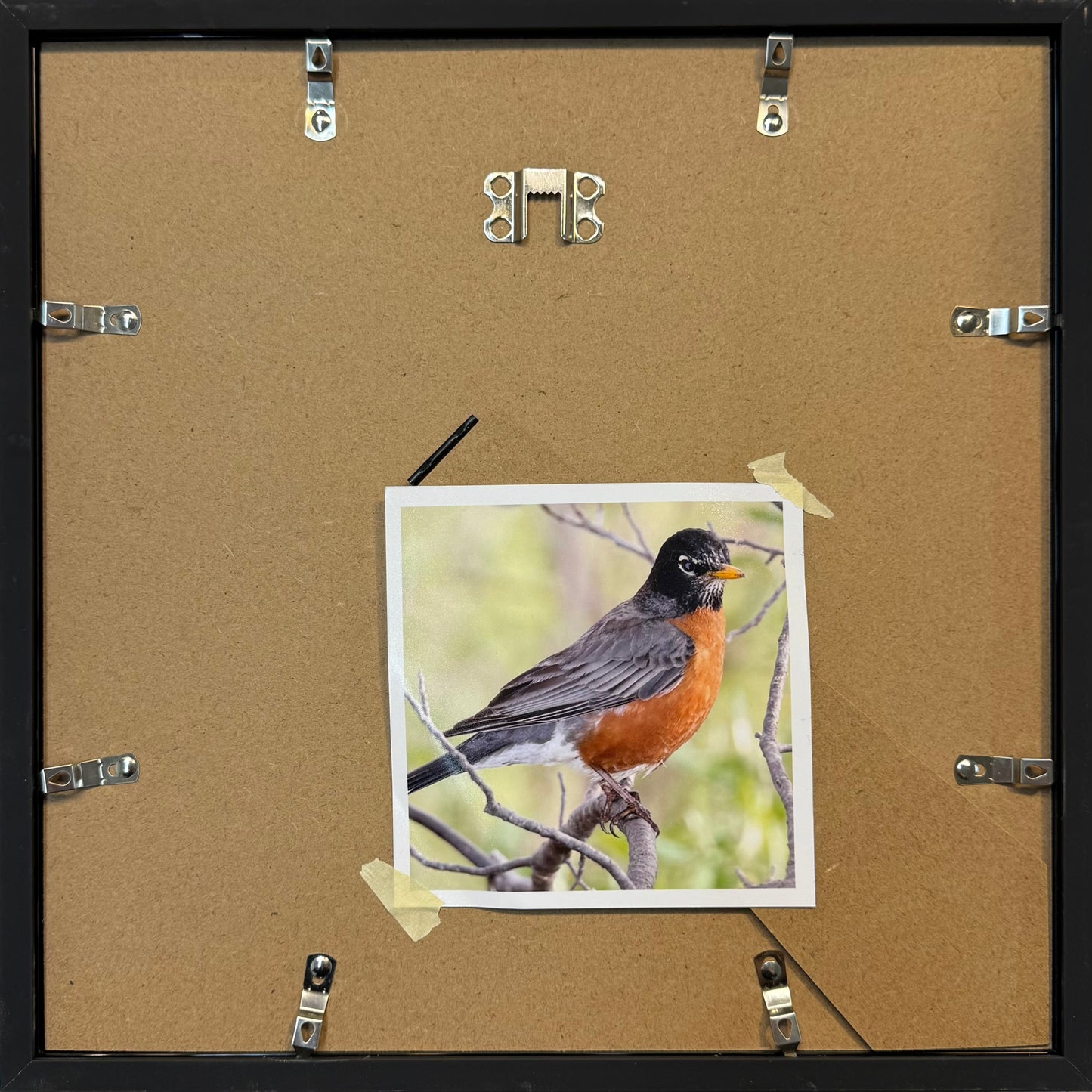 American Robin Paper Mosaic
