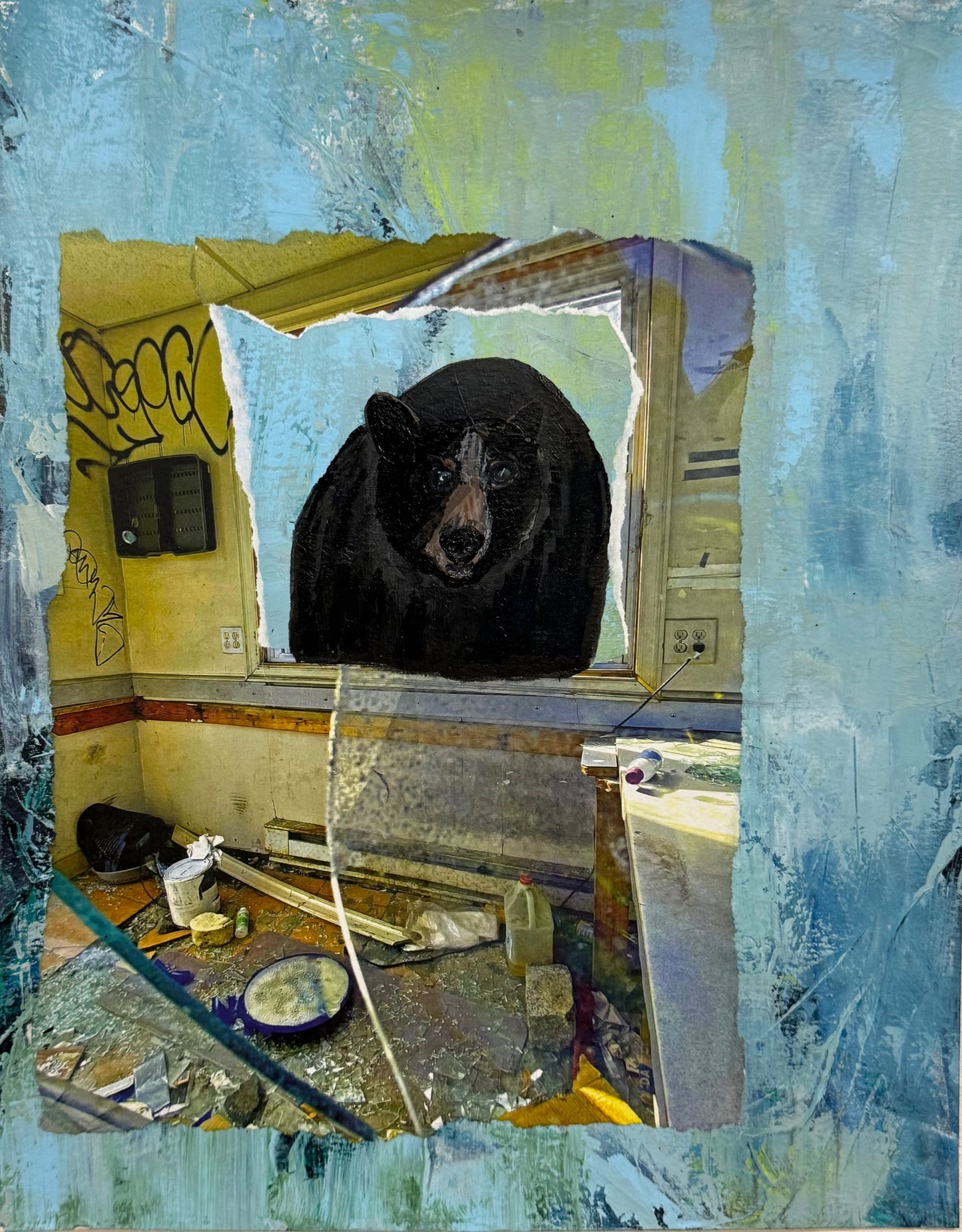 Black Bear-Endangered Collection