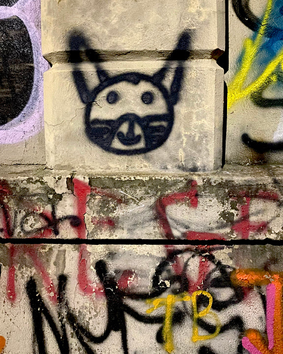 Cat Guardian of Nevins Street