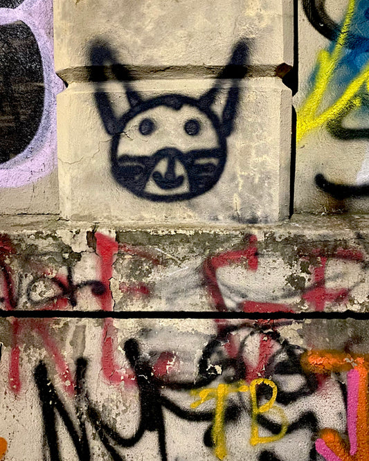 Cat Guardian of Nevins Street