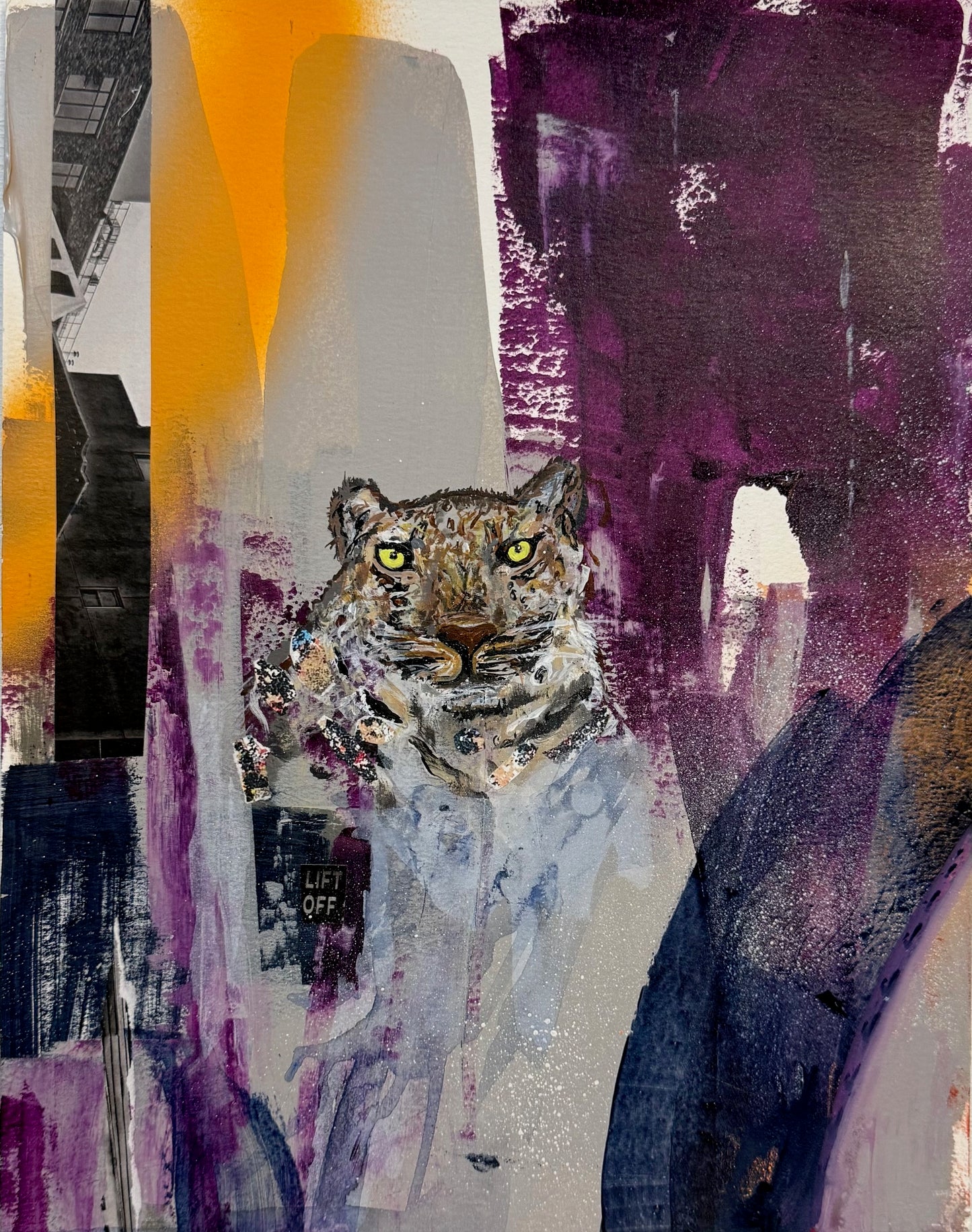 Amur Leopard-Endangered Collection