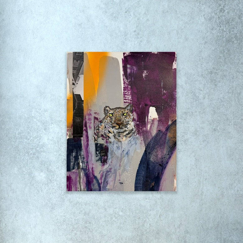 Amur Leopard-Endangered Collection