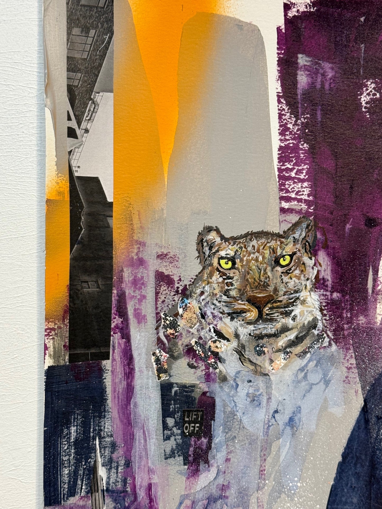 Amur Leopard-Endangered Collection