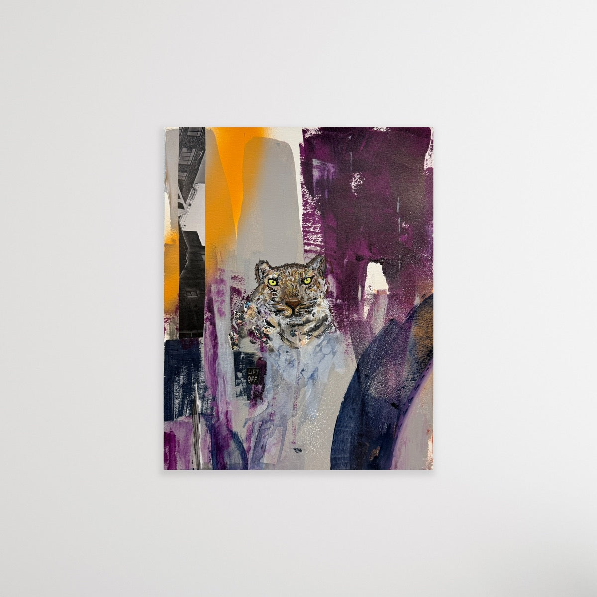 Amur Leopard-Endangered Collection